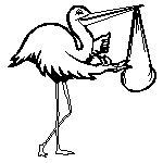 Stork