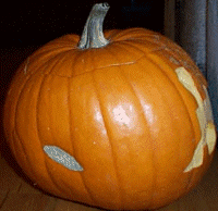 Jan's pumpkin